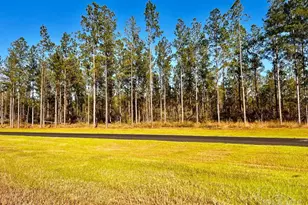 Lot 12 Denali Rd, Jay, FL 32565 - Photo 1