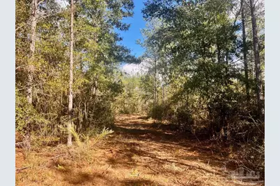 Lot 12 Denali Rd, Jay, FL 32565 - Photo 14
