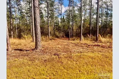 Lot 12 Denali Rd, Jay, FL 32565 - Photo 12