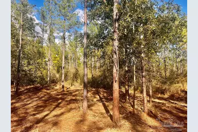 Lot 12 Denali Rd, Jay, FL 32565 - Photo 16