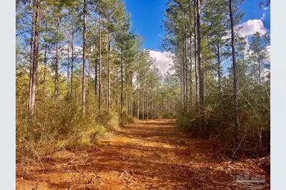 Lot 13 Denali Rd, Jay, FL 32565 - Photo 14