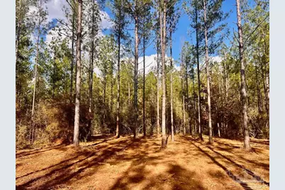 Lot 13 Denali Rd, Jay, FL 32565 - Photo 18