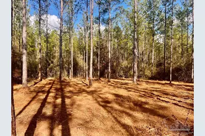 Lot 13 Denali Rd, Jay, FL 32565 - Photo 16