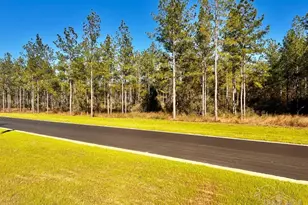 Lot 13 Denali Rd, Jay, FL 32565 - Photo 1