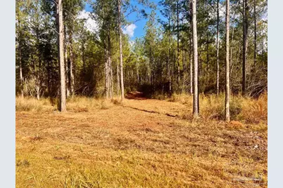 Lot 13 Denali Rd, Jay, FL 32565 - Photo 12
