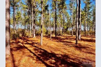 Lot 17 Denali Rd, Jay, FL 32565 - Photo 22