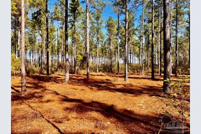 Lot 17 Denali Rd, Jay, FL 32565 - Photo 20