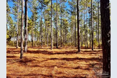 Lot 17 Denali Rd, Jay, FL 32565 - Photo 2