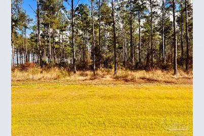 Lot 17 Denali Rd, Jay, FL 32565 - Photo 12