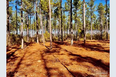 Lot 17 Denali Rd, Jay, FL 32565 - Photo 24