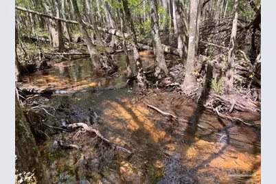 Lot 9 Creekdown Ln, Jay, FL 32565 - Photo 22