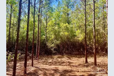 Lot 9 Creekdown Ln, Jay, FL 32565 - Photo 20