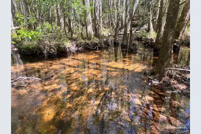 Lot 9 Creekdown Ln, Jay, FL 32565 - Photo 2