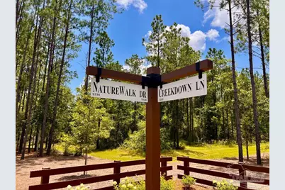 Lot 10 Naturewalk Dr, Jay, FL 32565 - Photo 12