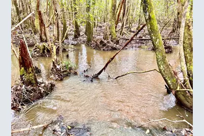 Lot 10 Naturewalk Dr, Jay, FL 32565 - Photo 10