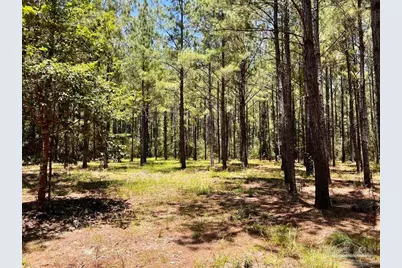 Lot 15 Naturewalk Dr, Jay, FL 32565 - Photo 12