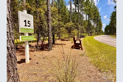Lot 15 Naturewalk Dr, Jay, FL 32565 - Photo 8