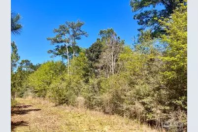 Lot 16 Naturewalk Dr, Jay, FL 32565 - Photo 14