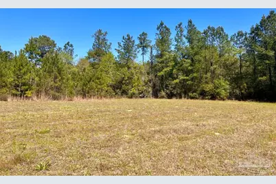 Lot 16 Naturewalk Dr, Jay, FL 32565 - Photo 6