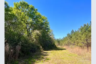 Lot 16 Naturewalk Dr, Jay, FL 32565 - Photo 12