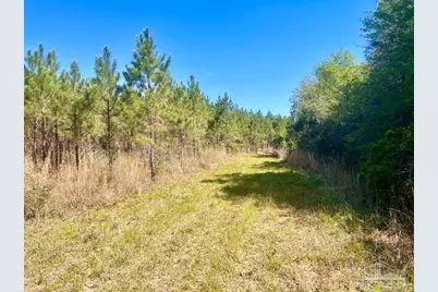 Lot 16 Naturewalk Dr, Jay, FL 32565 - Photo 10