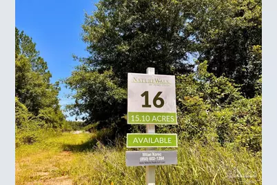 Lot 16 Naturewalk Dr, Jay, FL 32565 - Photo 2