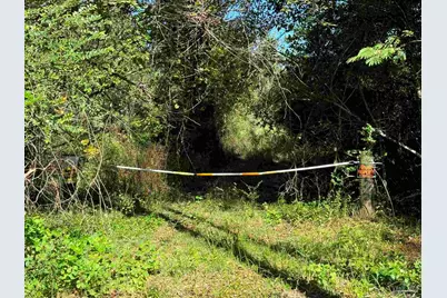 0 Pleasant Hill Rd, Century, FL 32535 - Photo 4