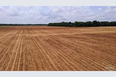 1 Salter Rd, Jay, FL 32565 - Photo 12