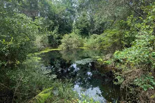 8271 Mobile Hwy, Pensacola, FL 32526 - Photo 38