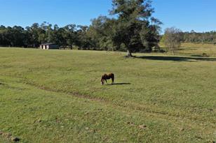 1011 Jacks Branch Rd - Photo 6