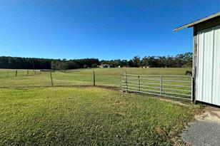 1011 Jacks Branch Rd - Photo 44