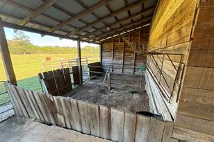 1011 Jacks Branch Rd - Photo 42