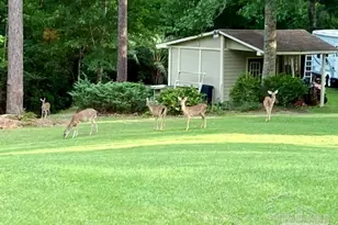 11441 Clear Creek Dr, Pensacola, FL 32514 - Photo 42