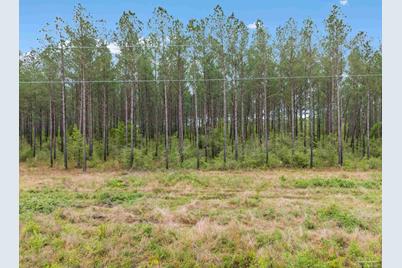 Lot 2 Mineral Springs Rd - Photo 1