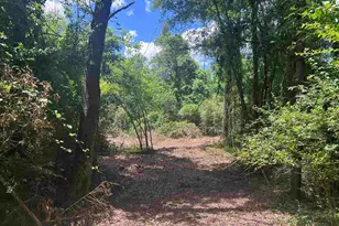 10961 Hwy 97, McDavid, FL 32568 - Photo 1