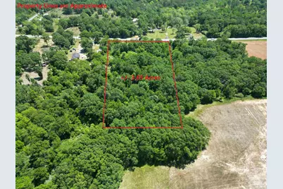 10961 Hwy 97, McDavid, FL 32568 - Photo 2