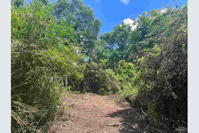 10961 Hwy 97, McDavid, FL 32568 - Photo 8