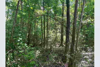 10961 Hwy 97, McDavid, FL 32568 - Photo 10