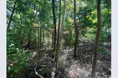 10961 Hwy 97, McDavid, FL 32568 - Photo 12