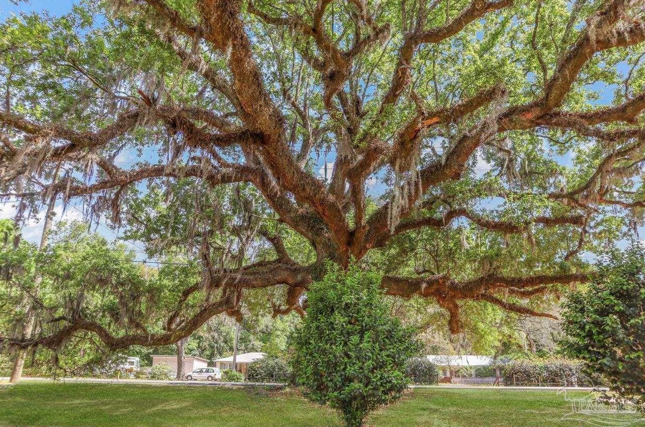 6650 Old Bagdad Hwy, Milton, FL 32583