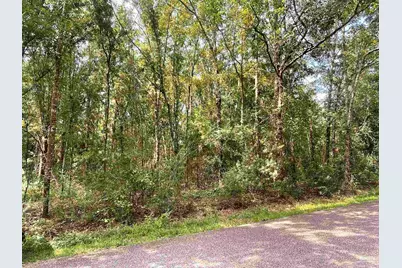 0 Corral Rd, Milton, FL 32583 - Photo 6