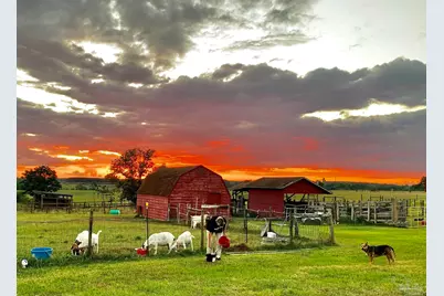 2141 N Hwy 97, Molino, FL 32577 - Photo 22