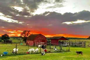 2141 N Hwy 97, Molino, FL 32577 - Photo 22