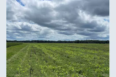 5700 Block Pine Forest Rd, Walnut Hill, FL 32568 - Photo 18