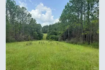 0 Nokomis Rd, Walnut Hill, FL 32568 - Photo 8