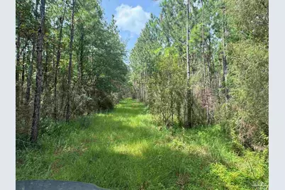 0 Nokomis Rd, Walnut Hill, FL 32568 - Photo 28