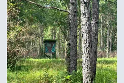 0 Nokomis Rd, Walnut Hill, FL 32568 - Photo 2