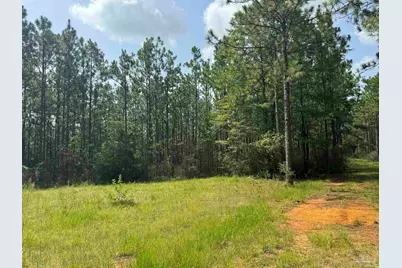0 Nokomis Rd, Walnut Hill, FL 32568 - Photo 18