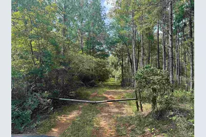 0 Nokomis Rd, Walnut Hill, FL 32568 - Photo 6