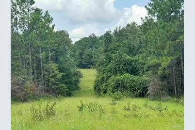 0 Nokomis Rd, Walnut Hill, FL 32568 - Photo 26